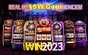 WIN2023 Salvador - Statistics